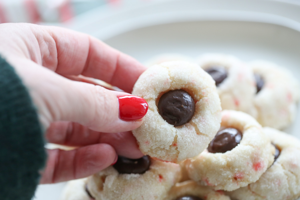 hand holding a single candy cane cookie