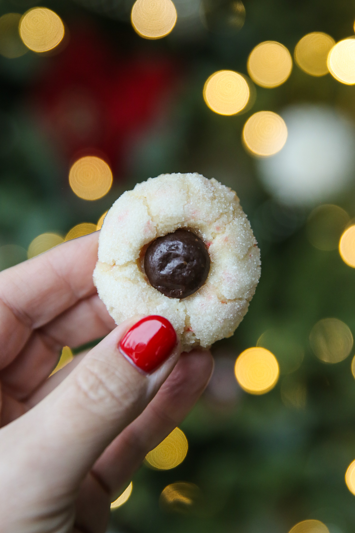 hand with a painted red nail holding a single candy cane cookie