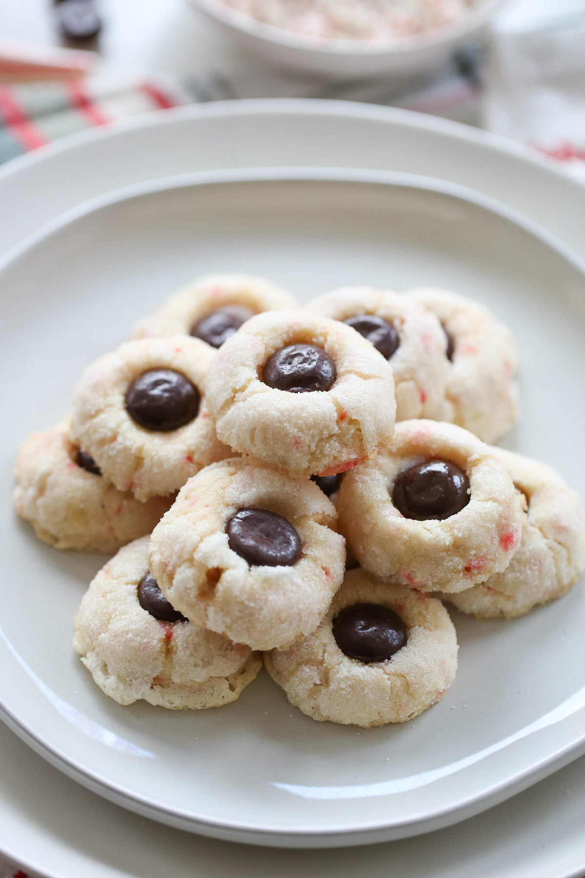 single plate of candy cane cookies
