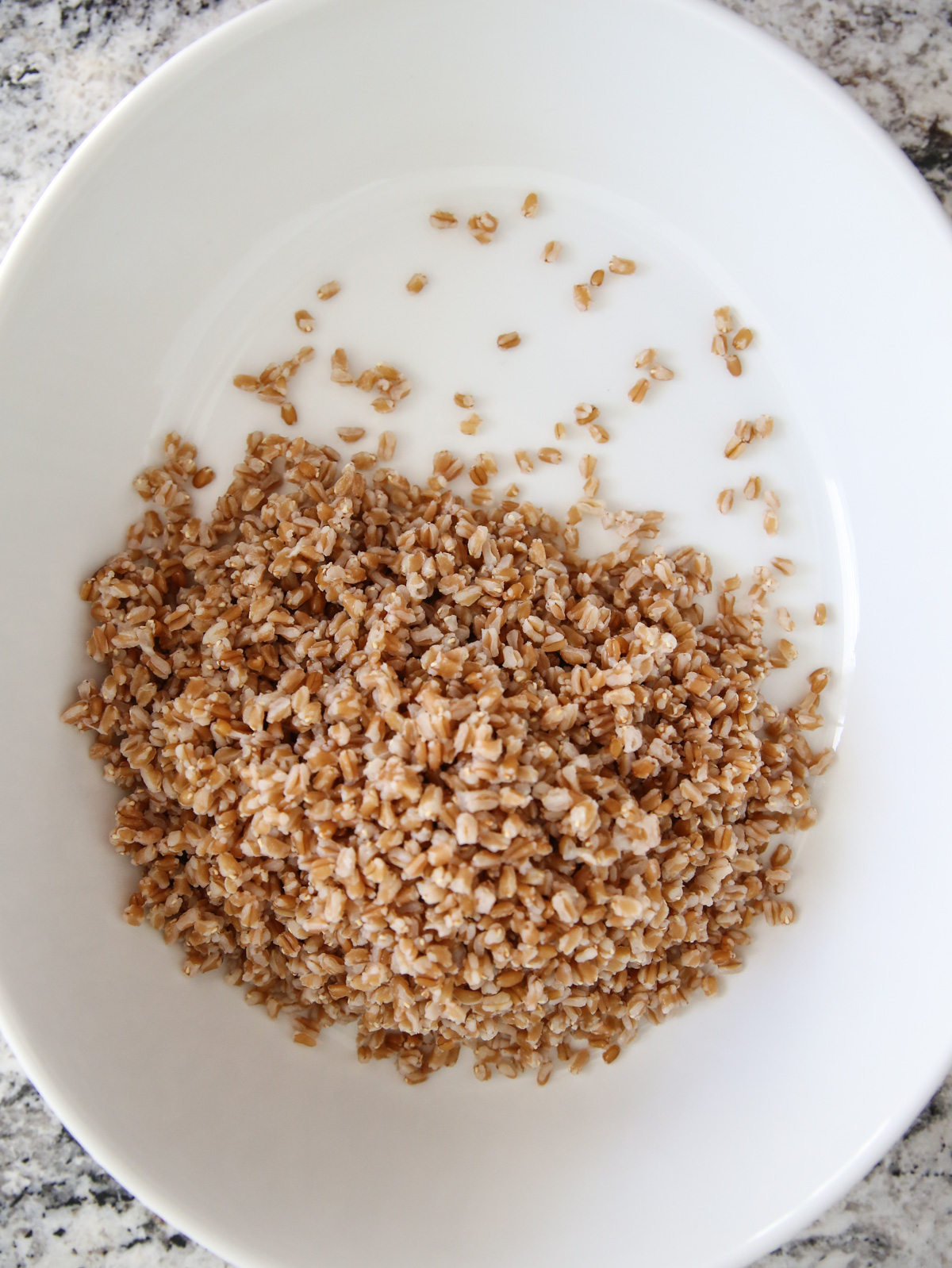 Cooked farro in a white bowl