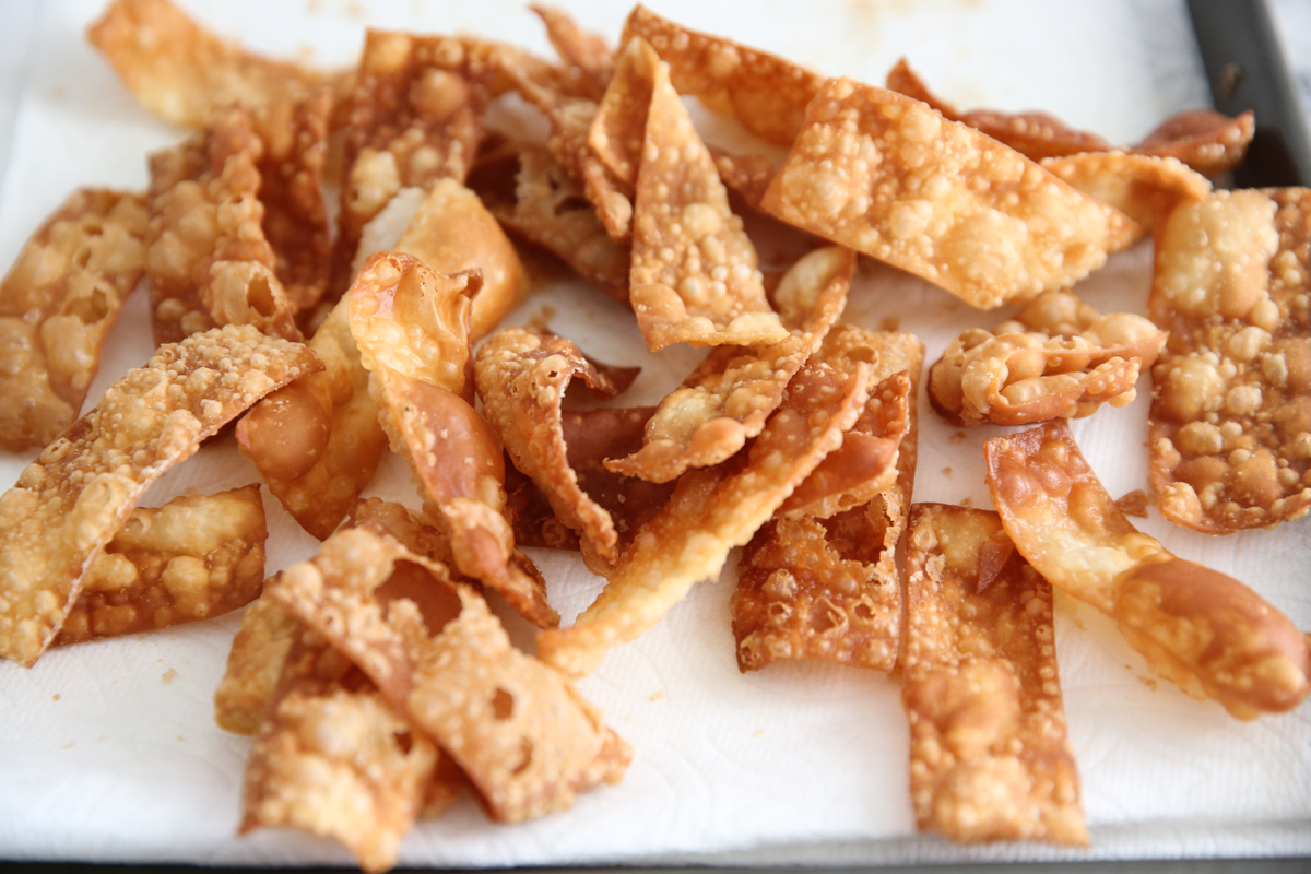 fried wonton skins