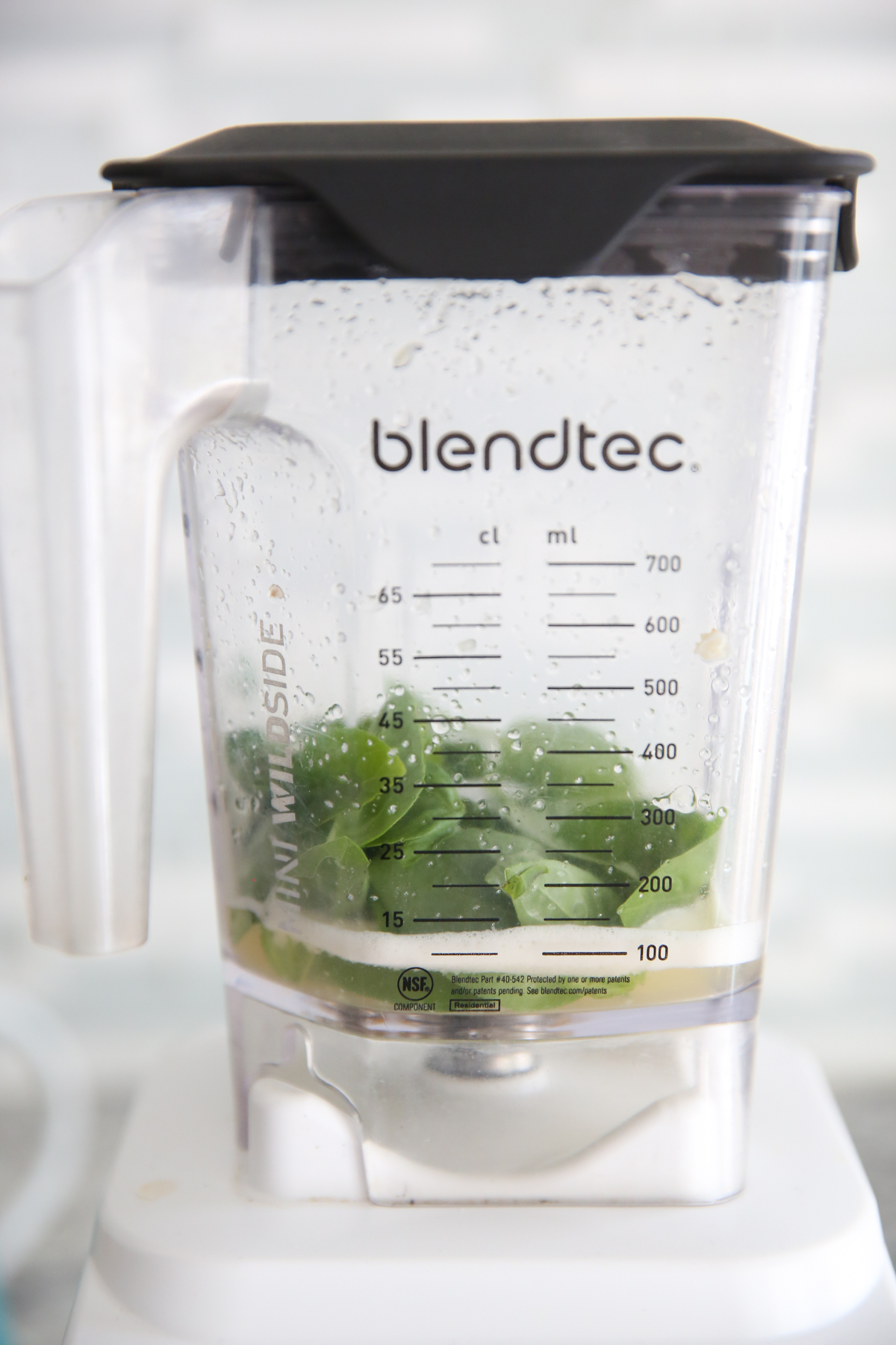 dressing ingredients in blender